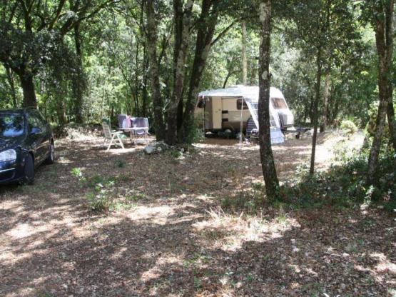 Forfait avec emplacement et véhicule
