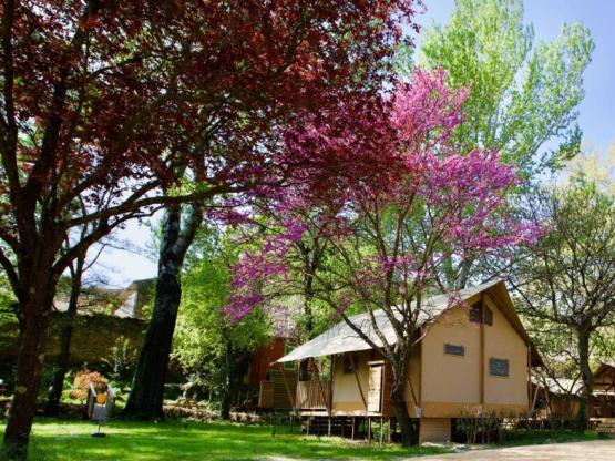 Lodge Prairie 30m² + 15m² en mezzanine - 2 chambres - spa privatif-cuisine - salle d'eau