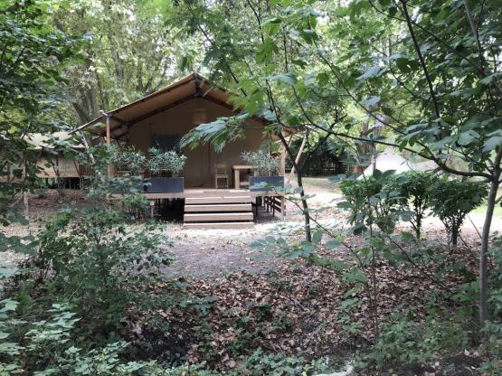 Lodge Chèvrefeuille 34m² - 3 chambres - cuisine - salle d'eau - spa privatif