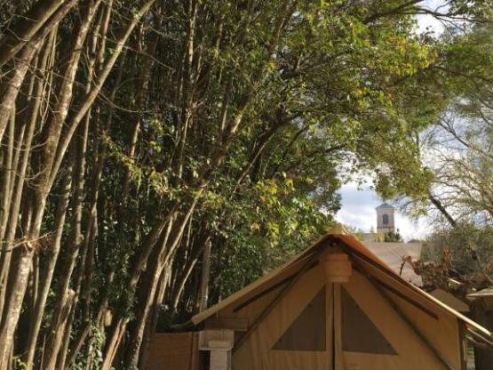 Lodge Central 24m² - 1 chambre - coin cuisine - salle d'eau - Hébergement de plain pied accessible PMR