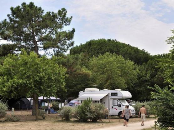 Confort+ standplaats (1 tent, caravan of camper / 1 auto / elektriciteit 10A)