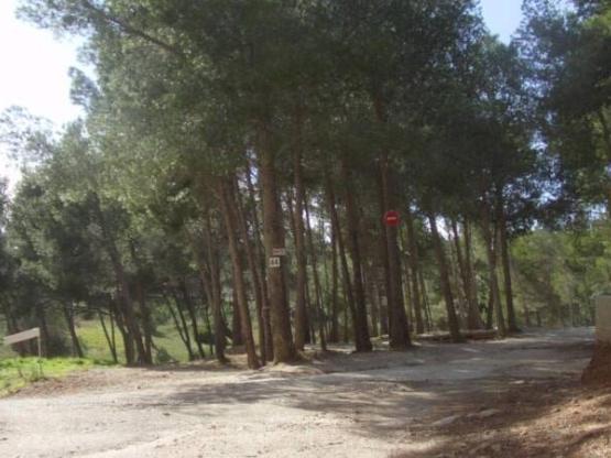 Forfait (caravane ou camping-car / 1 voiture)