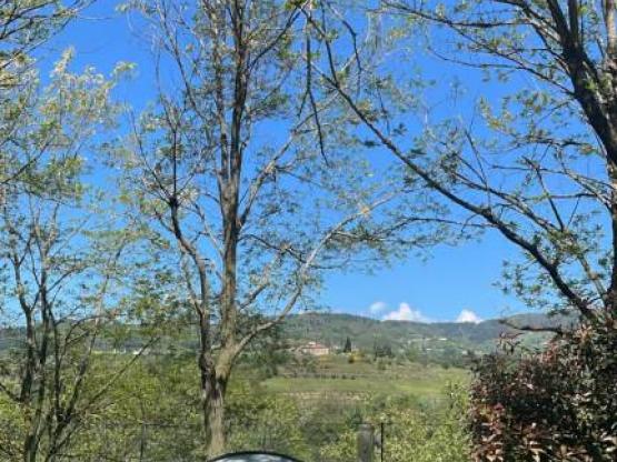 Package 1 PERSON ONLY:  for bike or motorbike with small tent on shared pitch