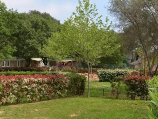 Emplacement Confort + électricité 10A