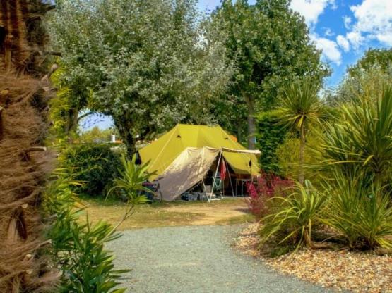 COMFORT PAKKET (Standplaats voor tent of caravan + 1 auto + elektriciteit 10 A)