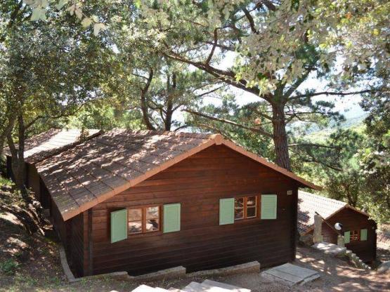 Chalet CLASSIQUE PLUS - 2 chambres. 14 chalets (B01 à B14)