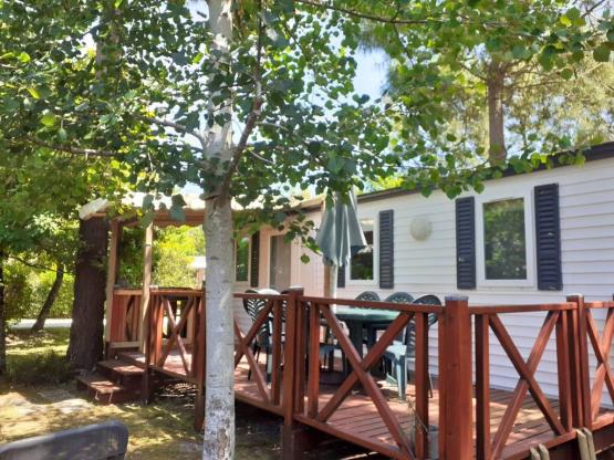 PHOTINIA - 29 m² - 3 chambres climatisé avec terrasse semi couverte - N°10