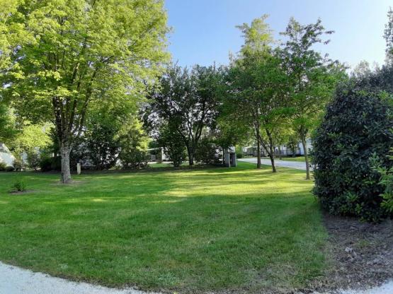 Stellplatz PREMIUM (+180m²)