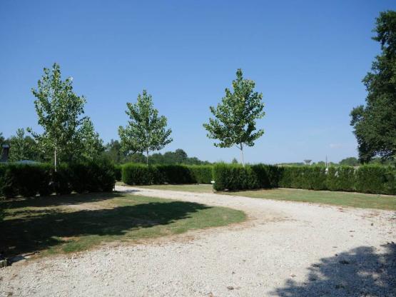 Stellplatz Privilège (Zelt, Wohnwagen, Wohnmobil / Strom 10A)