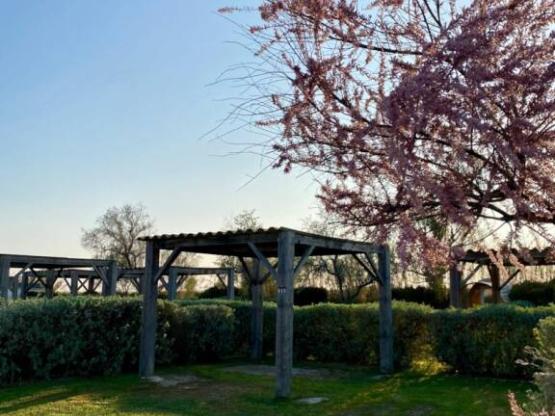 Emplacement camping avec tonnelle