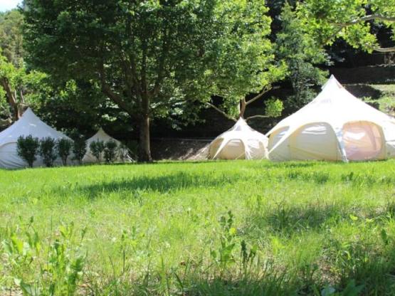 Forfait Confort (tente ou caravane / 1 voiture / électricité)