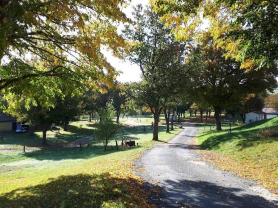 Forfait emplacement (tente ou caravane + véhicule)