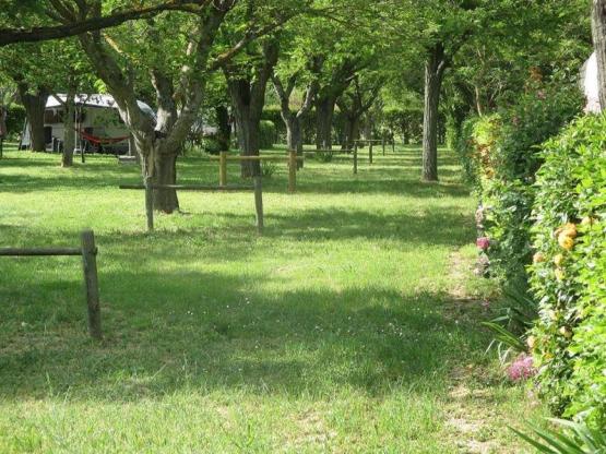 Emplacement  camping