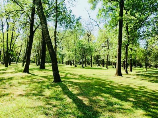 Forfait emplacement tente + voiture
