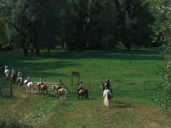 Stage Équestre Passion (10-19 ans) - Semaine Complète - Débutant au Galop 4 -