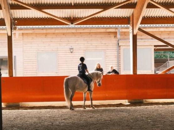 Stage Équestre Technique (12-19 ans) - Semaine Complète - Galop 4+
