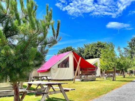 ECOLODGE JUNIOR - 2 slaapkamers