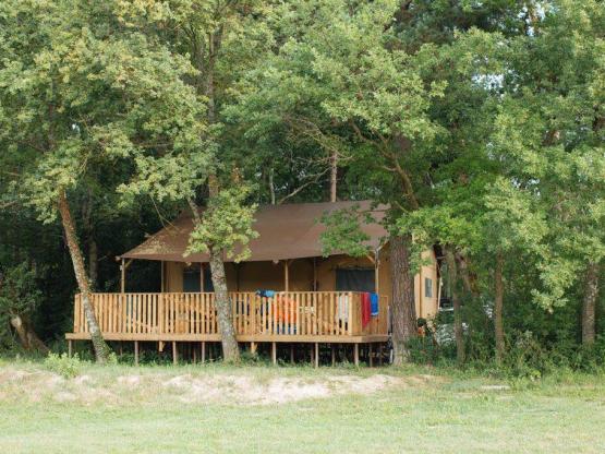 Lodge SAFARI PREMIUM (vue champ) n° 53, 58, 59, 70, 73 -