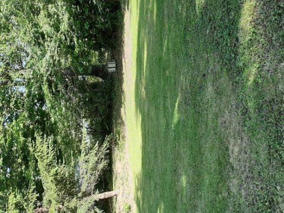 Emplacement tente + électricité 6A