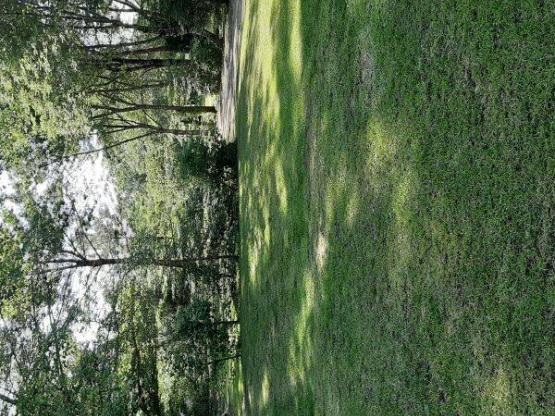 Emplacement caravane ou camping-car+ électricité 6A