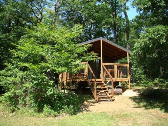 CABANE PREMIUM 30m2 | 1 chambre | Salle d'eau avec WC