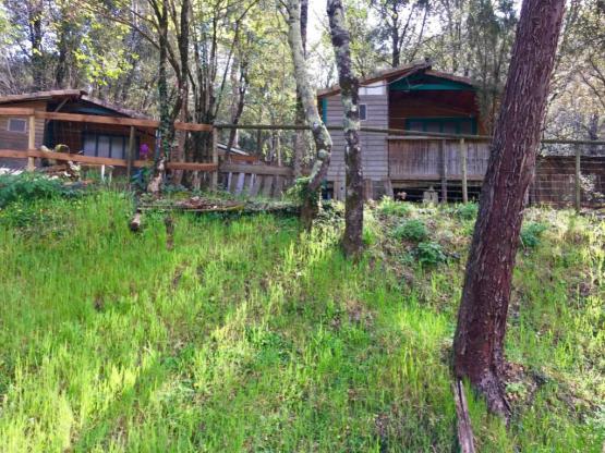 Chalet Érable et Pêcher - 2 chambres