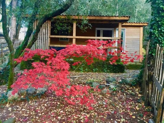 Chalet 5 à 7 personnes - 2 bedrooms