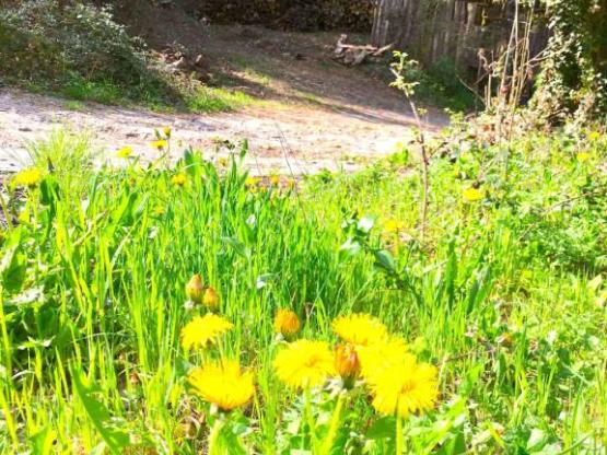 Chalet 5 à 7 personnes - 2 chambres