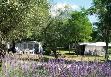 Camping Le Petit Bois Sites et Paysages