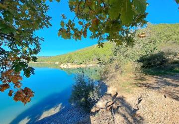 Camping L'Oasis du Verdon