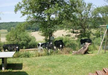 Camping Le Moulin