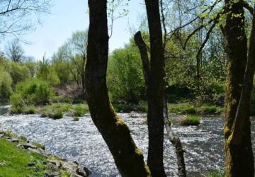 Camping De La Doller