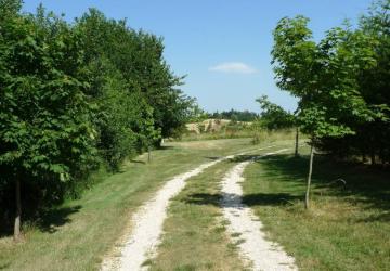 Camping Aux Mêmes