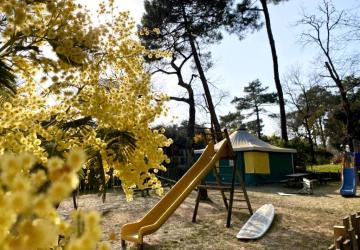 Camping des Pins - Soulac