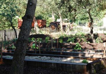 Camping des Pins - Soulac