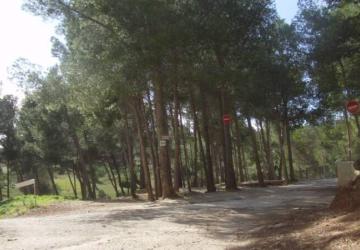 Camping Le Bois de Pins