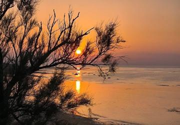 Vacances ULVF - Les Beaupins