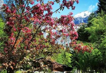 Camping Onlycamp Le Pelly