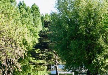 Camping l'Ile d'Amour