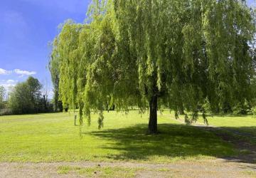 Camping l'Ile d'Amour