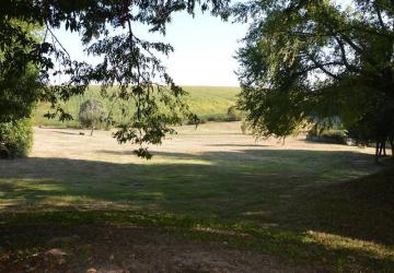 La Forêt Enchantée