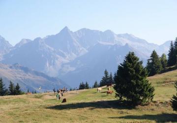 Idéal Camping
