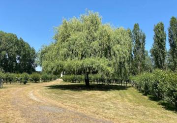 Camping Le Marais Sauvage