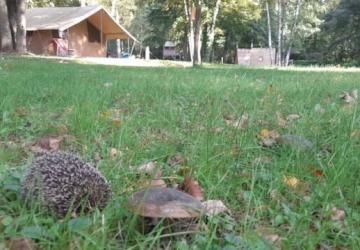 Camping de l'Eau Mère