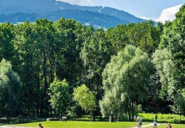 Flower Camping Les Iles 