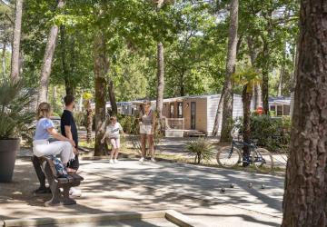 Camping Sandaya L'Orée du Bois