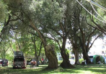 Camping d'Olzo
