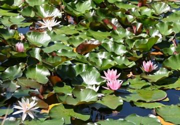 Creuse Nature Naturisme