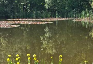 Creuse Nature Naturisme