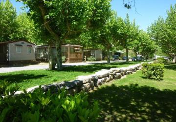 International Camping